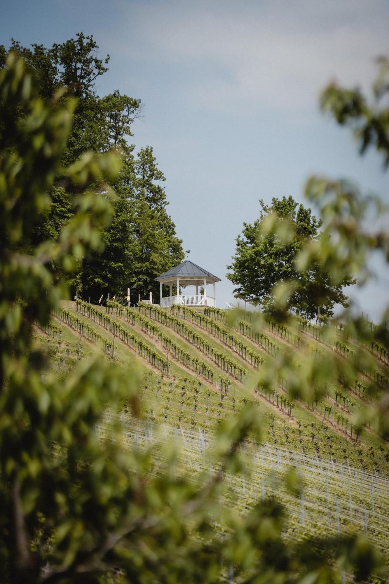 Winzer Suite - Weingut Dietl Riegersburg Buitenkant foto