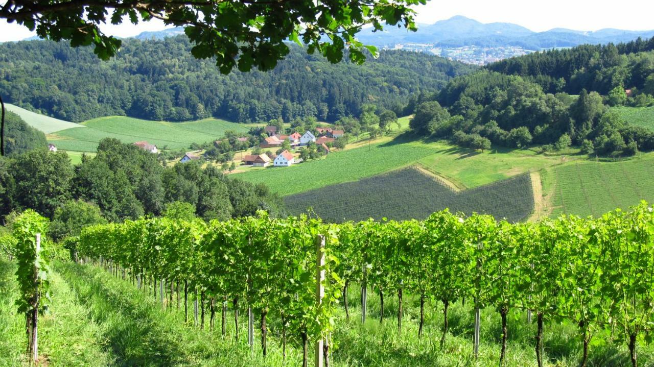 Winzer Suite - Weingut Dietl Riegersburg Buitenkant foto